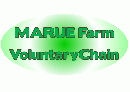 MFVC(MARUE Farm Voluntary Chain)システム